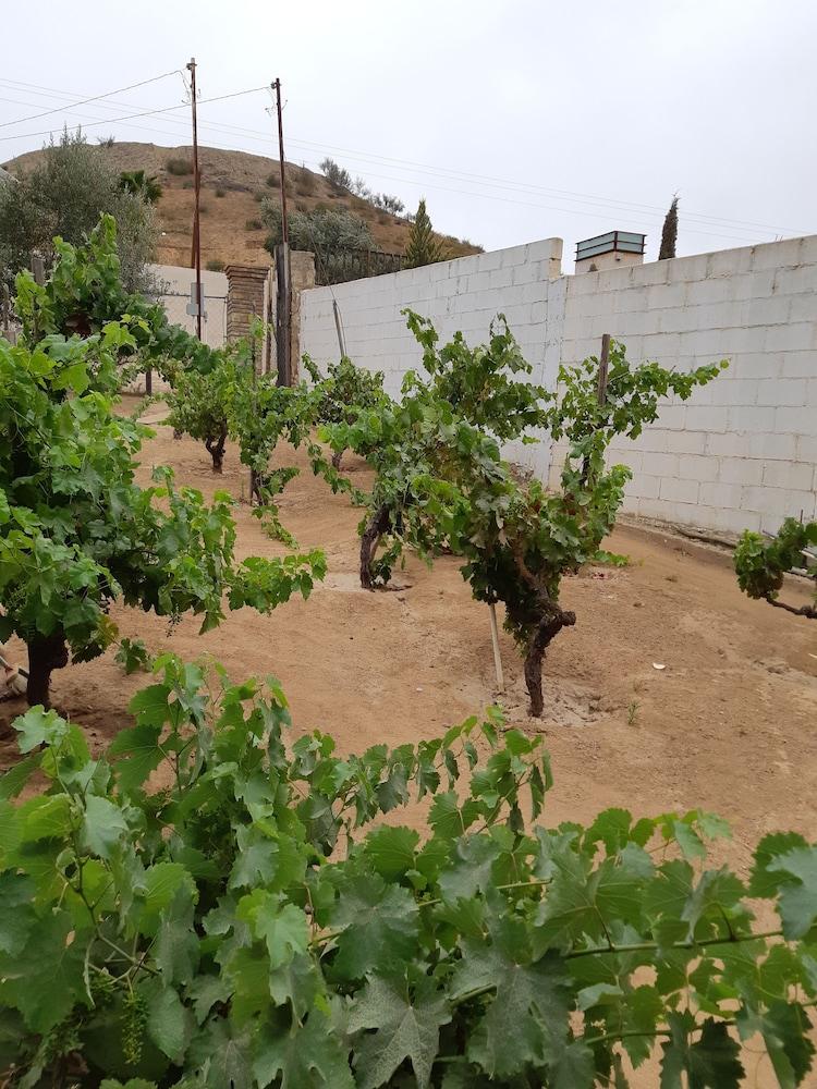 Hotel Meson Del Vino Valle de Guadalupe Dış mekan fotoğraf
