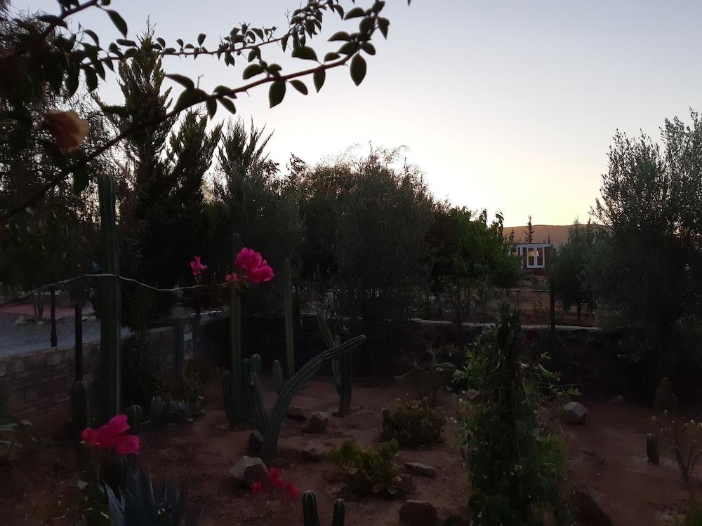 Hotel Meson Del Vino Valle de Guadalupe Dış mekan fotoğraf