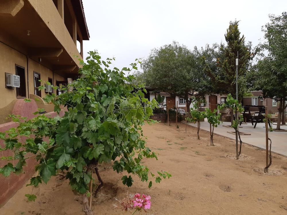 Hotel Meson Del Vino Valle de Guadalupe Dış mekan fotoğraf
