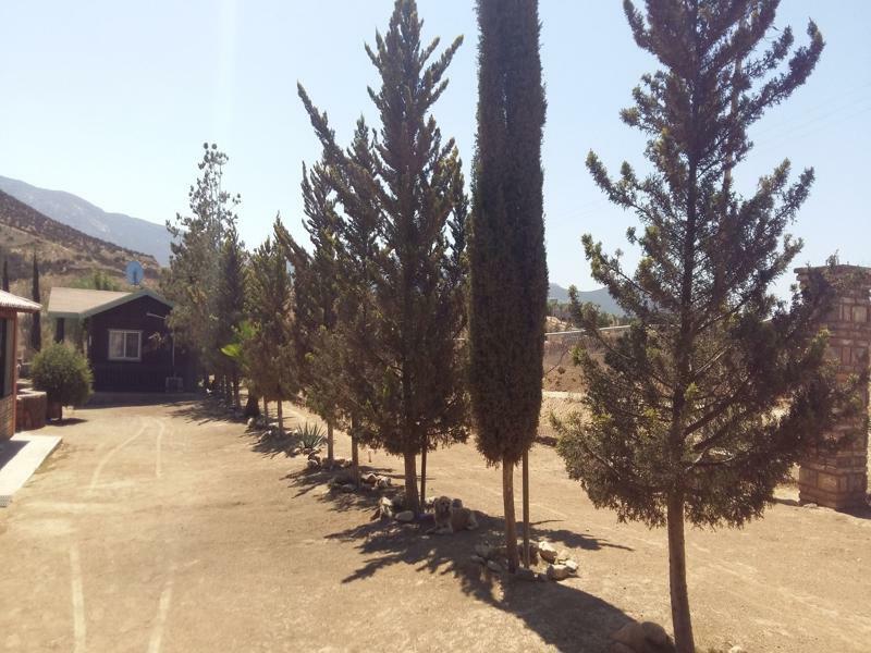 Hotel Meson Del Vino Valle de Guadalupe Dış mekan fotoğraf