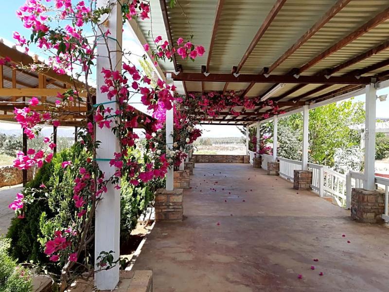 Hotel Meson Del Vino Valle de Guadalupe Dış mekan fotoğraf