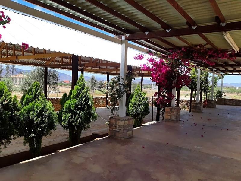 Hotel Meson Del Vino Valle de Guadalupe Dış mekan fotoğraf